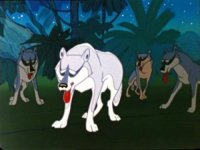 Акелла промахнулся!" - Визжали шакалы на все джунгли. 
"Акелла промахнулся!" - Вторили им бандерлоги. 
"Акелла промахнулся." - Тяжело вздыхали волки