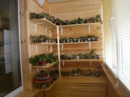 ООО Дружище! Примерно то же самое Соорудил, я 3 года назад, даже леннолеум такой же!!!!