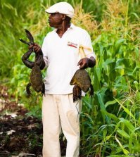 Загни палец загни палец.  или все таки показалось ?