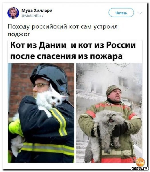 Читаем по глазам

Датский кот: "Господи, ужас-то какой! Как теперь жить?"
Российский кот: "Млять, только сел примус чинить, и тут как кизданет!"