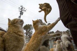 А это с прыжка туриста хотел вырубить, но промахнулся))