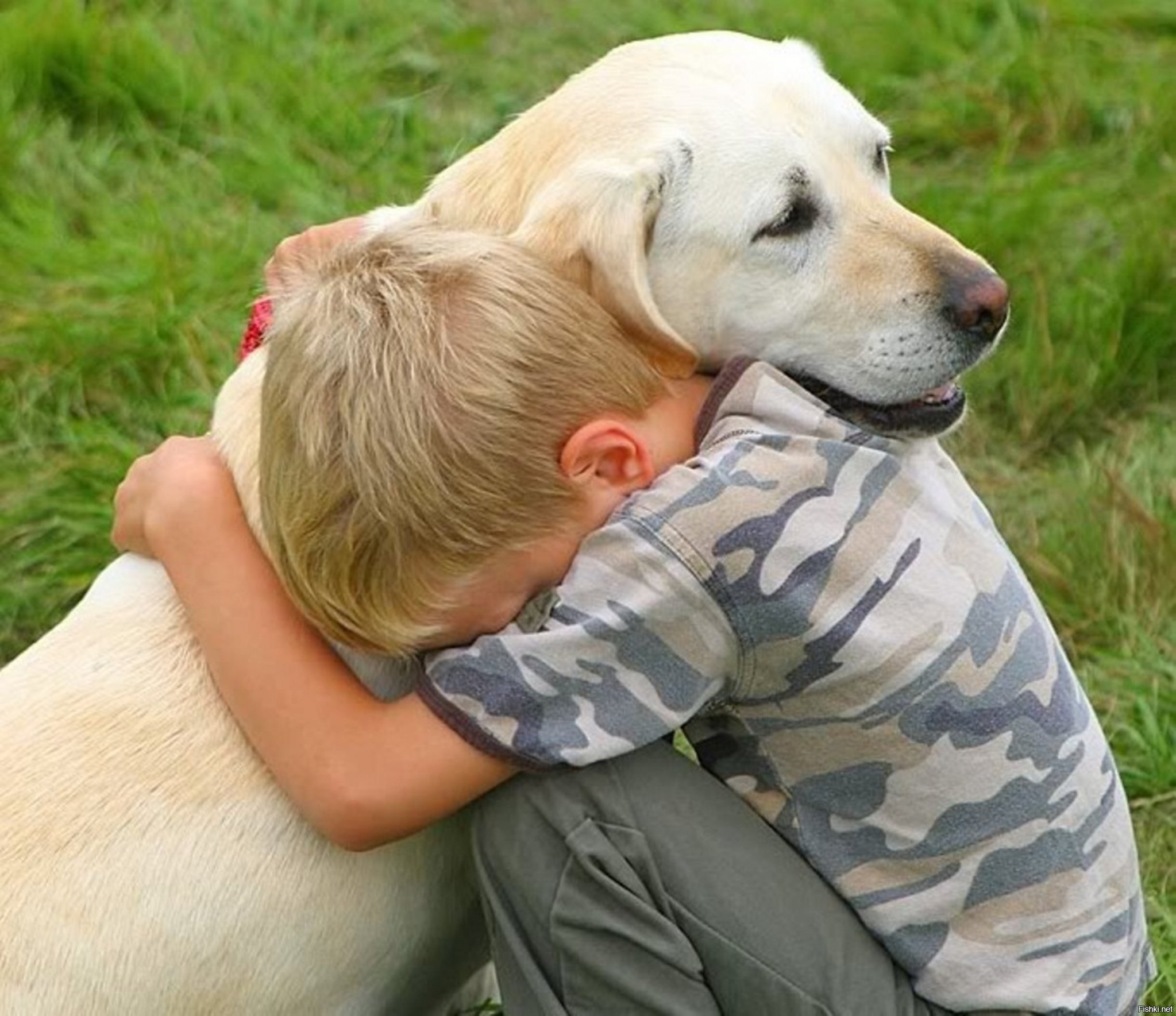 Лучший друг никогда не бросит. Собака друг человека. Дети с животными. Собака для детей. Животные друзья человека.