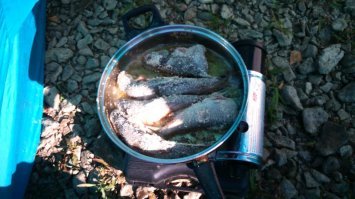 Хариус с кедровым орехом. Походная кулинария
