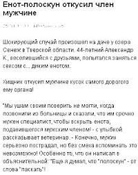 Еноты, они сцуко-опасные: