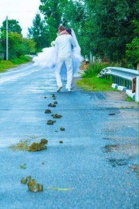 Какой стол, такой и стул...