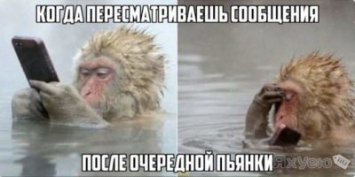 Как я бросила пить