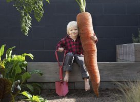 Фермер-любитель вырастил самую большую в мире морковку