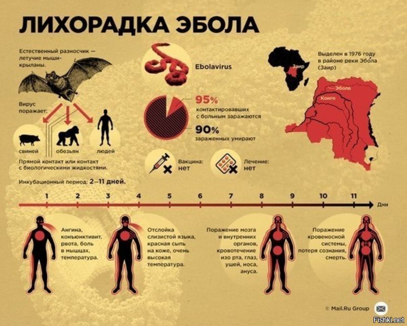 30 жизненных шпаргалок нннааада?