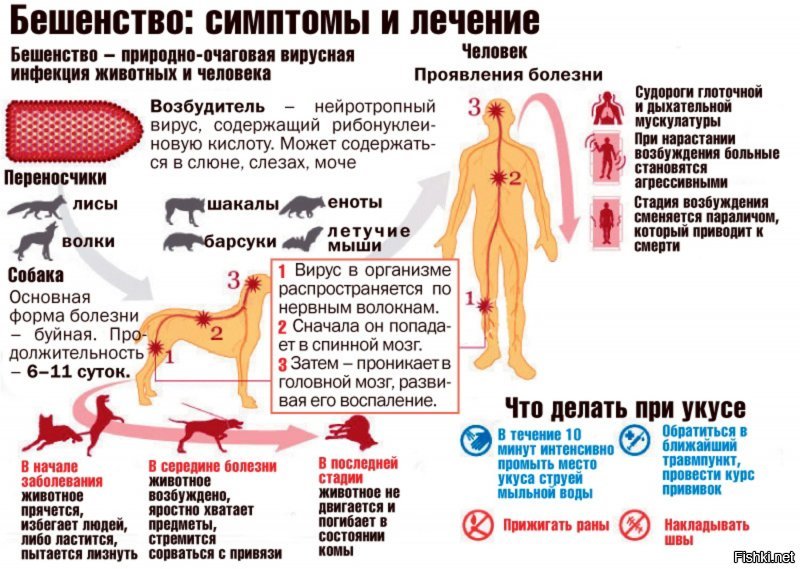 30 жизненных шпаргалок нннааада?