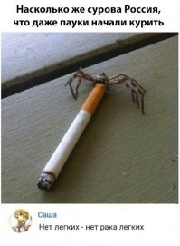 Смешинки. Часть 2