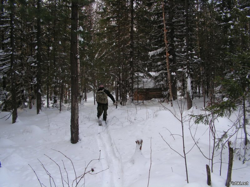 В избушке зимой