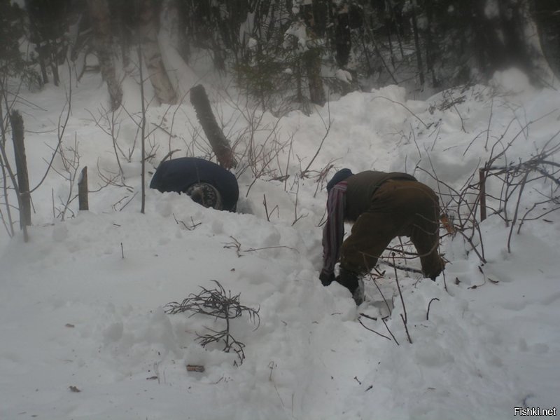 В избушке зимой