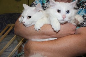 Хороших фото пост