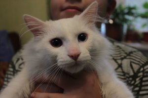 Хороших фото пост