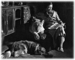 Необычная дружба зверенышей