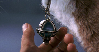 Фотоподборка за 01.10.2018