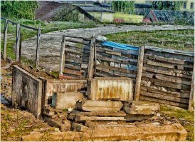 Там еще один есть персонаж

Отжал территорию у минобороны (до революции там был монастырь +друг Вова, срослось) под предлогом, что сделает на территории монастырь для сирот с кадетским уклоном, а сам разграбил и разобрал имущественный комплекс на стройматериалы. А на стадионе, бывшем монастырском кладбище ТАДАМММ!.... попы КОЗЛОВ пасут, самых настоящих. 
На фото козлятник на месте трибуны и.. Не знаю что монахи потребляют из этой емкости.