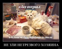 9 необычных примеров использования пищевой плёнки не по назначению, о которых не все знают