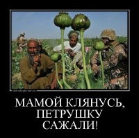 Дачная жизнь