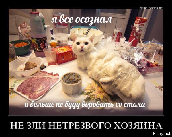 9 необычных примеров использования пищевой плёнки не по назначению, о которых не все знают