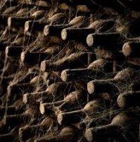 Пережить апокалипсис: 6 продуктов, которые не портятся