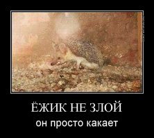 Почти в тумане....