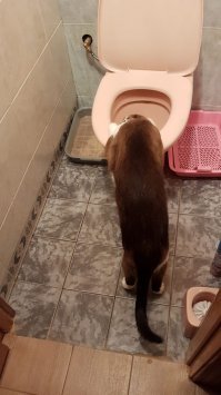 Всегда следит за водой, развлекушка.