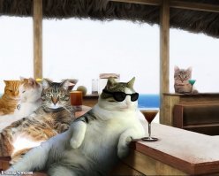 В ОТПУСКЕ МЫ! В ОТПУСКЕ!!!!