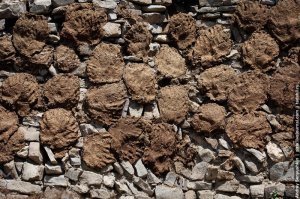 Как построить дом из говна и палок