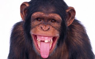 Почтальон помочился на ходу во время доставки корреспонденции