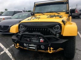 На щуку похож.