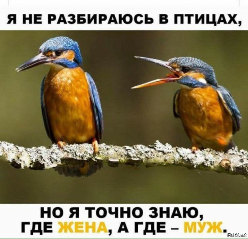 Солянка от 02.10.2018