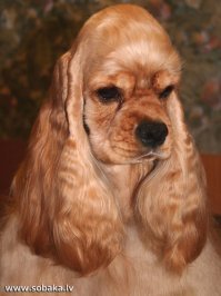 "Классное" название поста 

Если бы некоторые из представленных персонажей жили сейчас, они могли бы выглядеть вот так (про Аида молчу):