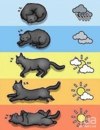 Какая нас ждёт зима? Решите сами!