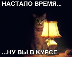 Запылиться не успел!