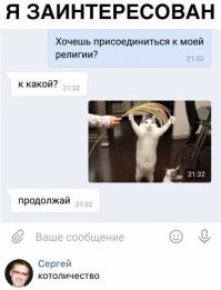 Как легко и просто скормить даже самой вредной кошке таблетку