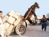 Фотоподборка за 03.10.2018