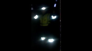 Однажды я тоже ехала по просёлочной дороге и тут заметила, что за мной кто-то следит. Как только я включила фары, я обнаружила жуткое непонятное существо. Но мой муж всё таки склоняется к тому, что это не паранормальное явление, а всего лишь попка гибддшника.