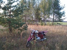 Вот! Реально 2 недели назад катался по грибы.