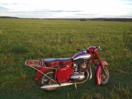 Вот! Реально 2 недели назад катался по грибы.