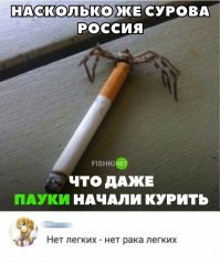 У нас крабе тоже курит))