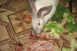 ага, травку они едят