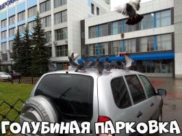 да они там всегда тусят, в гидромаше столовка классная!