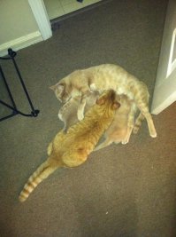 Когда в 30 лет до сих пор сидишь на шее у родителей.