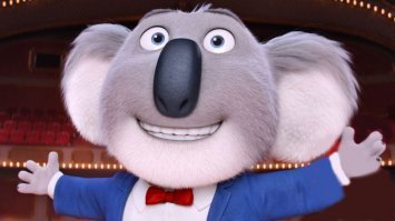 В Австралии уже в третий раз спасли особо невезучую коалу