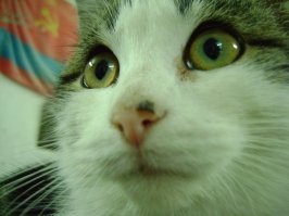 И вдруг неожиданно вспомнил!!!