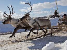 достойная замена...мне кажется