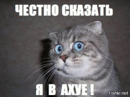 ...ебическая сила, хренасе?