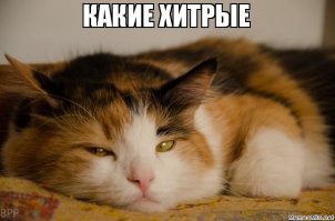 Смешные и нелепые моменты, которые всегда остаются за кадром красивых фотографий