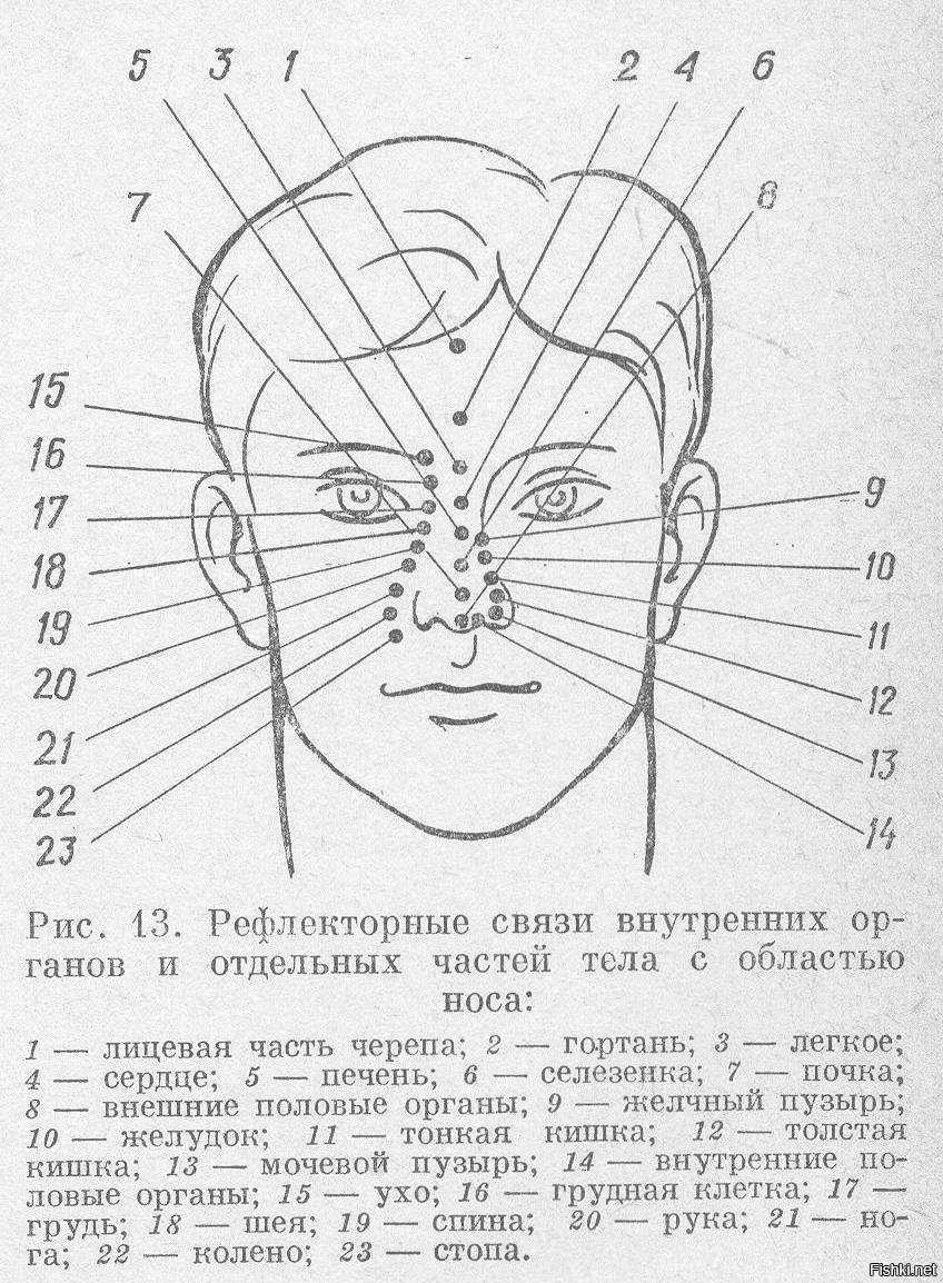 Карта прыщей на теле